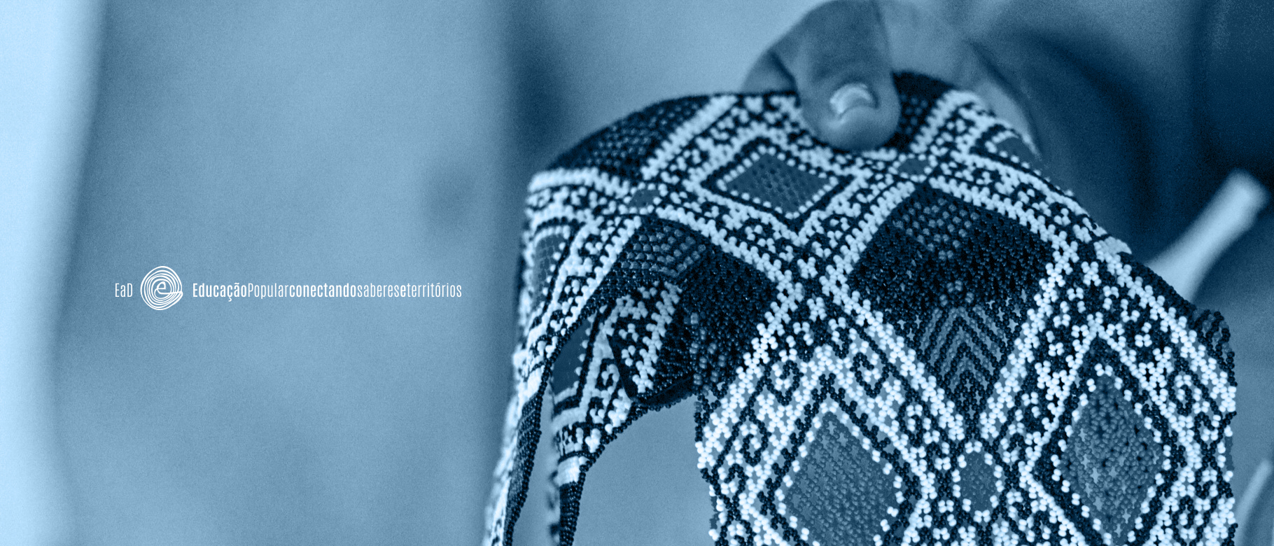 Territórios Culturais Indígenas: saberes, práticas e currículo